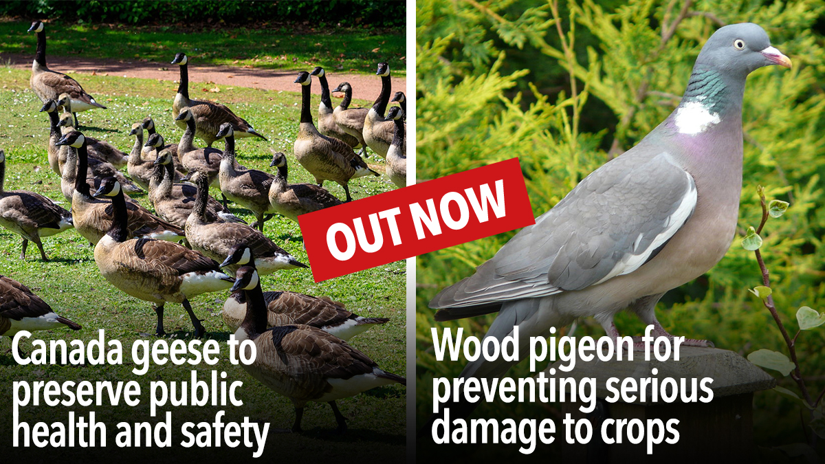Two new general licences out now Two new general licences out now